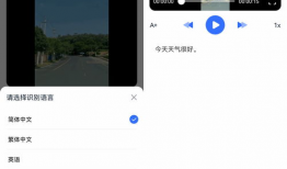 视频提取字幕,字幕背后的故事