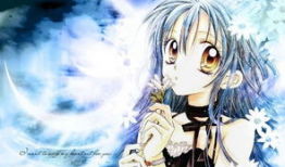 sd动漫,梦幻世界的奇幻冒险之旅